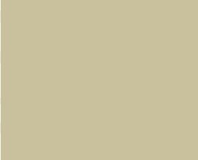 WAB 204 SILK MUD
