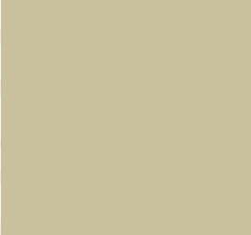 WAB 204 SILK MUD